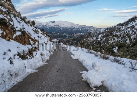 Image, Stock Photo Snowed in are paths, streams, bridges and forests. A pack of deer is looking for food and water.