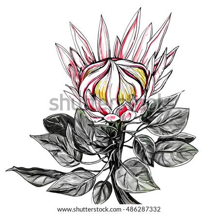 Shutterstock Puzzlepix