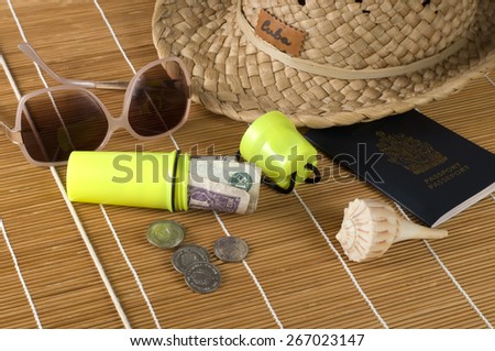 Tropical Vacation Money Holder and Daily Accessories