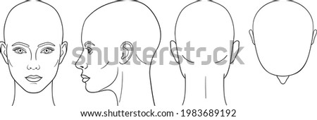 Female head vector illustration in front, back, top, side view Foto stock © 