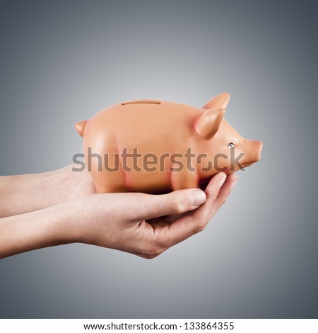 hands holding pink pig piggy bank, economics and finance