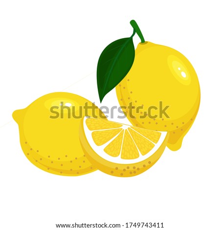 Lemon slices. Fresh citrus, half sliced lemons and chopped lemon. Cut lemons fruit slice. vector illustration.