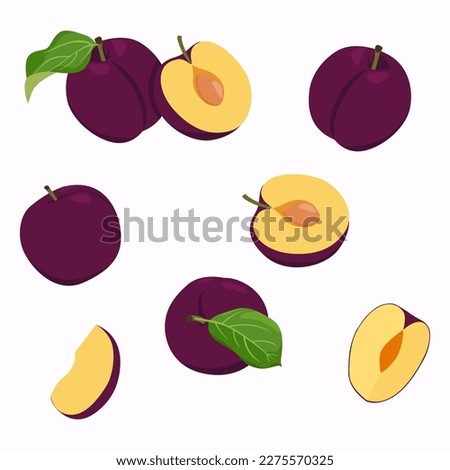 Set of plum fruit with leaf and half fruit isolated on white background, vector illustration.