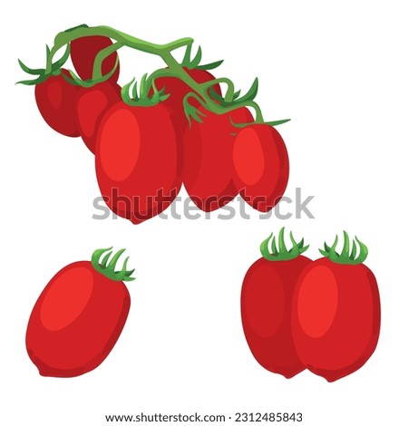 Set of cherry tomato isolated on white background. vector illustration.