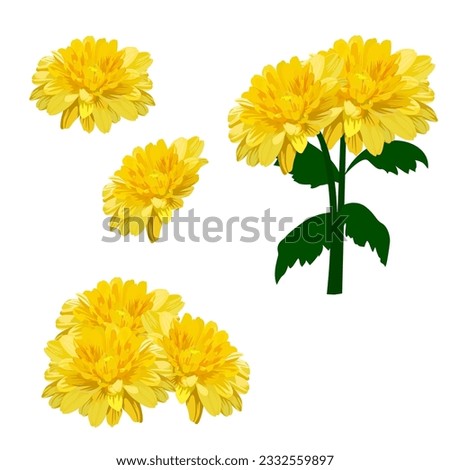 Similar – Image, Stock Photo Flower of yellow chrysanthemum on a yellow background.