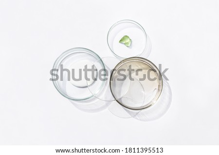 Petri dishes with cosmetic on white background. Top view, flat lay. Concept skincare. Dermatology science cosmetic laboratory. Natural medicine, cosmetic research, organic skin care products.