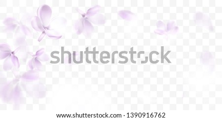 Similar – Image, Stock Photo Rose blossom in soft pink