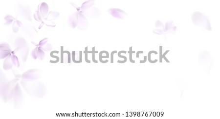 Image, Stock Photo Lavender blurred Flower