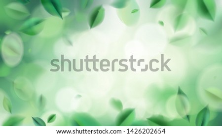 Park nature with sun light abstract background with spring green leaves vector illustration