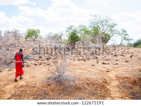 Kenya, Africa. Man of Masai ethnical group walking alone in savanna