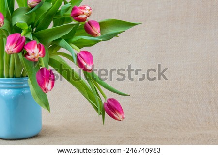 pink tulips in a light blue vase with a textured background
