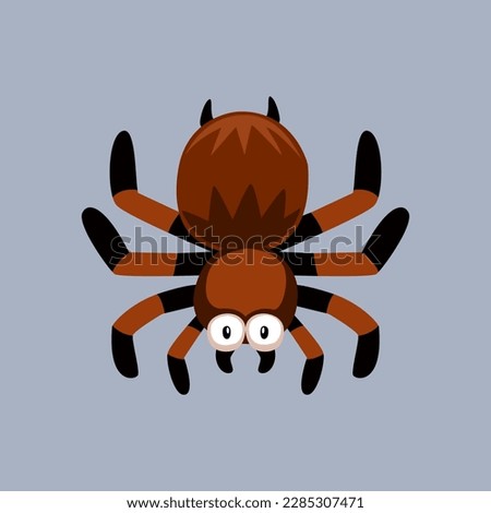 Cute cartoon tarantula spider in isolated gray background vector illustration icon