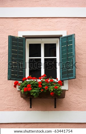 Beautiful window with flower box and shutters