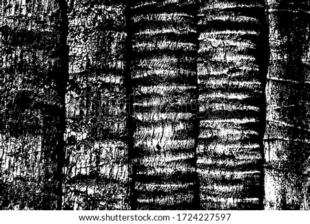 Splintered fence raw saw lumber. Rough surface uneven wooden exposed. Rural environment from cut cracked panels. Ruined abandoned ancient structure, rustic deserted palms black white for 3d design