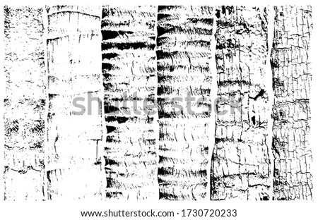 Splintered fence raw saw lumber. Rough surface uneven wooden exposed beams. Rural environment from cut cracked panels. Ruined abandoned ancient structure, rustic deserted palms on White for 3d design
