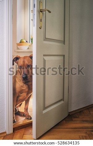 Similar – Image, Stock Photo Entrance around the corner