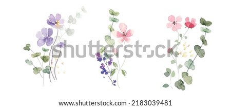 watercolor arrangements with small flower. Botanical illustration minimal style.