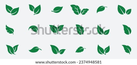Set green leaves icon vector  isolated on white background. Various shapes of green leaves of trees and plants.Eps 10
