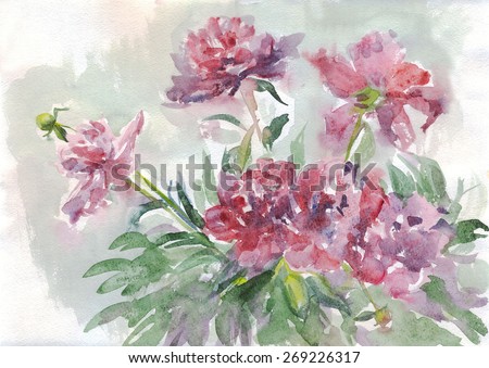 Bouquet of peonies. Painting. Watercolor