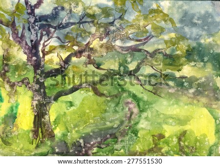 Rainy landscape with a big tree. Painting. Watercolor