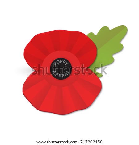 Similar – Image, Stock Photo Faded poppy in a field