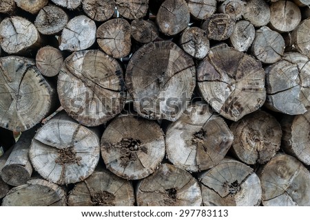 Wood log pile texture background