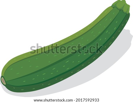 Illustration of summer vegetables zucchini