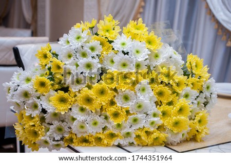 Similar – Image, Stock Photo Yellow chrysanthemum bouquet on yellow background. Copy space