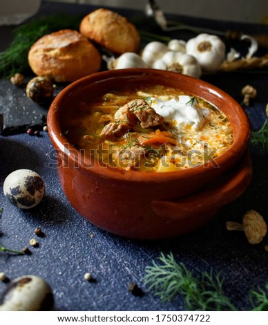 Russian traditional cabbage soup schi Imagine de stoc © 