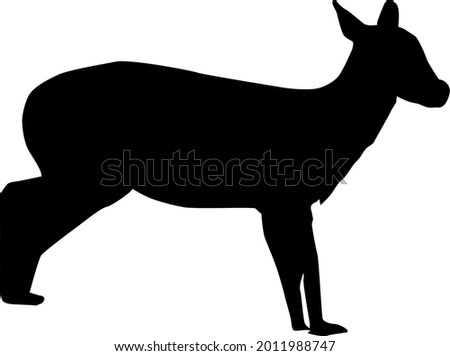 a silhouette vector illustration of a deer.