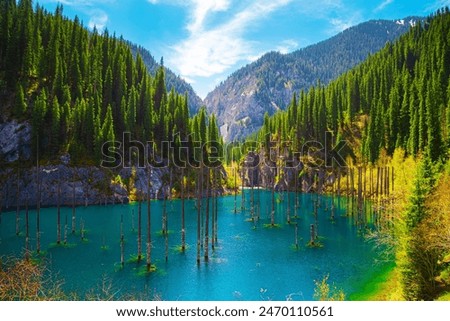 Similar – Image, Stock Photo mountain lake