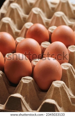 Similar – Image, Stock Photo Tray with colored easter eggs