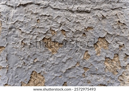 Similar – Image, Stock Photo Decay peeling light color