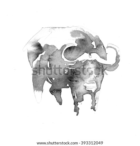 African cape buffalo. Watercolor illustration on white background.