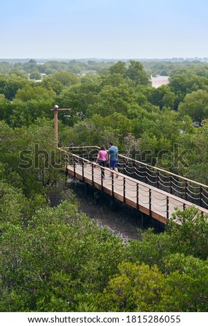 A couple walking towards the end of the boardwalk in Jubail Mangrove Park.                             