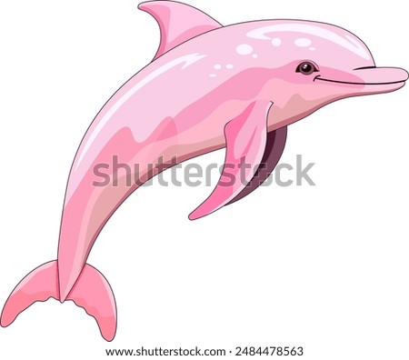 Pink dolphin on a white background