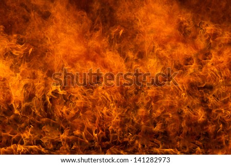 Intense natural wood fire background or texture.