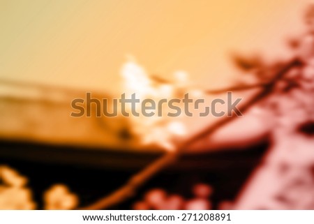 (BLUR style Abstract background). Spring time at a temple in Tokyo.