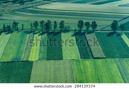 Birds Eye View of the Fields and Agricultural Parcel. Aerial Views.