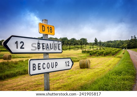 Wine French country road signs leading to the top burgundy vineyards