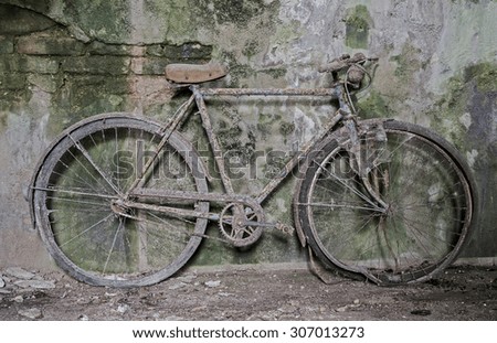 Old rusty bicycle, abandoned and propped against the wall damp and green with moss, wet wall background, horizontal photo, natural light