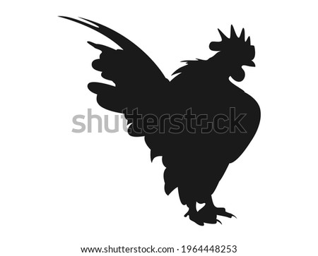 The silhouette of a serama chicken showing off its appearance and beautiful voice
