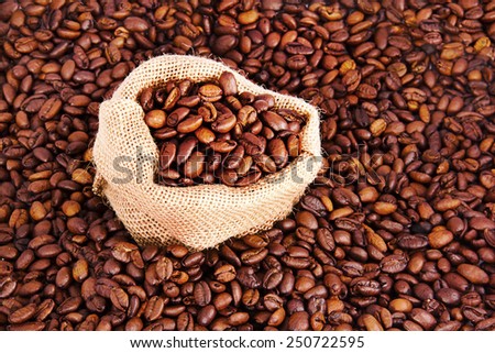 coffee seed and a bag