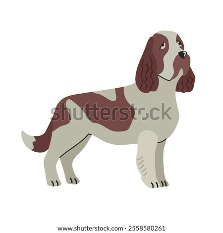 English springer spanielicon clipart avatar logotype isolated illustration