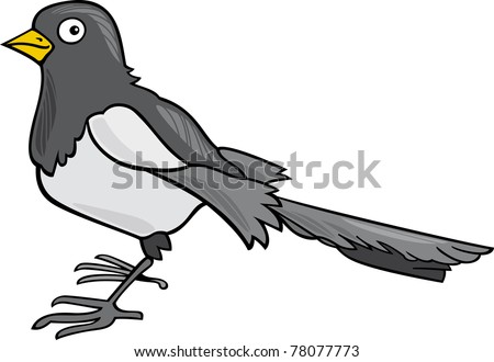 Cartoon Illustration Of Magpie Bird - 78077773 : Shutterstock