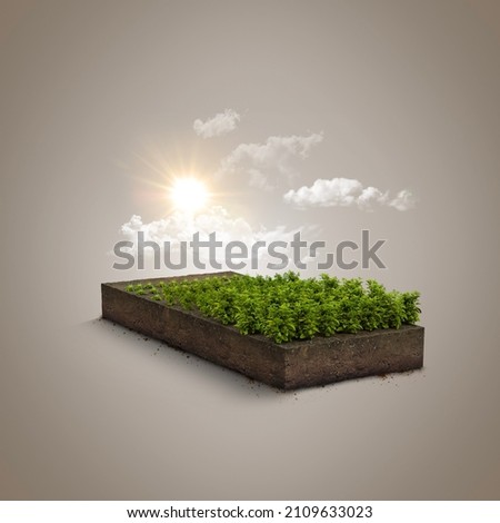 3d illustration of mini farm isolated. Plants isolated on soil island. micro world concept. Stock foto © 