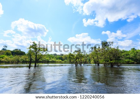 Panorama From