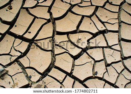 Crack texture macro details on soil Stok fotoğraf © 