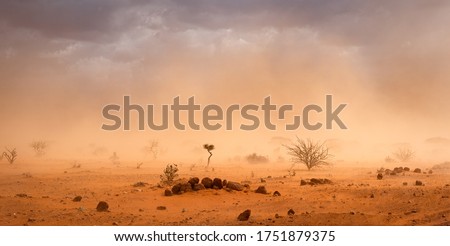 Climate change in Africa: dramatic dusty sandstorm blowing sand and dirt through savanna, disrupting life in Melkadida refugee camp , Dollo Ado, Somalia region, Ethiopia, Horn of Africa