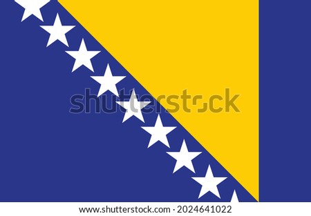 Bosnia and Herzegovina flag vector illustration. National flag of Bosnia and Herzegovina
